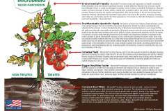 MICROBEBIO-BROCHURE-4ps-11X8.5-Tuan_Page_1 MICROBEBIO-BROCHURE-4ps-11X8.5-Tuan_Page_1