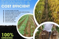 MICROBEBIO-BROCHURE-4ps-11X8.5-Tuan_Page_3-600x464 MICROBEBIO-BROCHURE-4ps-11X8.5-Tuan_Page_3-600x464