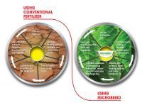 MICROBEBIO-PROBLEM-SOLUTION-1-200x155