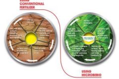 MICROBEBIO-PROBLEM-SOLUTION-1-300x232 MICROBEBIO-PROBLEM-SOLUTION-1-300x232