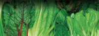 MICROBEBIO-APPLICATIONPROGRAM-LEAFY-VEGETABLES-200x73