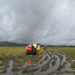 MICROBEBIO-PHOTO-TEST-FARM12-150x150 MICROBEBIO-PHOTO-TEST-FARM12-150x150