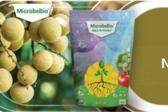 Microbebio-BANNE-AQUAACTIVATOR-600x188