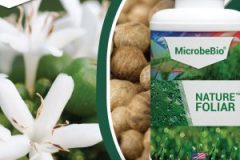 Microbebio-BANNER-NATURE-FOLIAR-300x300