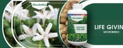Microbebio-BANNER-NATURE-FOLIAR-300x94 Microbebio-BANNER-NATURE-FOLIAR-300x94