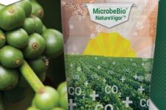 Microbebio-BANNER-NATUREVIGOR-300x300 Microbebio-BANNER-NATUREVIGOR-300x300