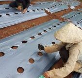 20170820_123607-169x300 20170820_123607-169x300