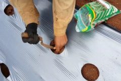 20170820_123612-300x300 20170820_123612-300x300