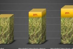 2019-06-03_13-07-14-300x300 2019-06-03_13-07-14-300x300