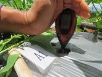 IMG_0143-200x150 IMG_0143-200x150