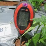 IMG_0156-150x150 IMG_0156-150x150