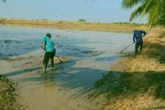 1_MICROBEBIO-FIELD-IMAGE77