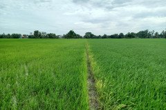 LEFT-OURS-RIGHT-ANOTHER-FIELD-02