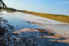 MICROBEBIO-FIELD-IMAGE78