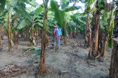 Microbebio-Dominican-Republic-003