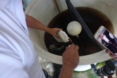 Microbebio-Dominican-Republic-010