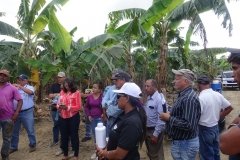 Microbebio-Dominican-Republic-012