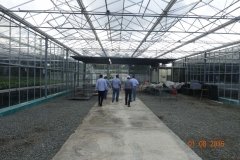 Microbebio-Dominican-Republic-026