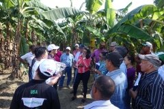 Microbebio-Dominican-Republic-062