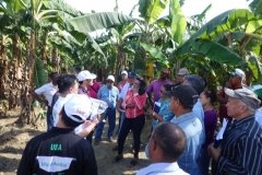 Microbebio-Dominican-Republic-072