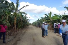 Microbebio-Dominican-Republic-084
