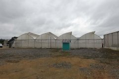 Microbebio-Dominican-Republic-127