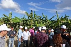 Microbebio-Dominican-Republic-134