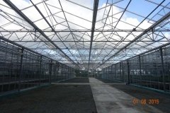 Microbebio-Dominican-Republic-146