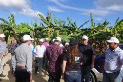 Microbebio-Dominican-Republic-154