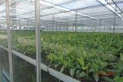Microbebio-Dominican-Republic-156