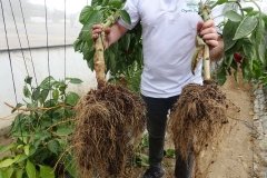 Microbebio-Dominican-Republic-180
