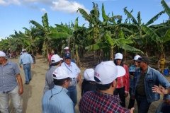 Microbebio-Dominican-Republic-314