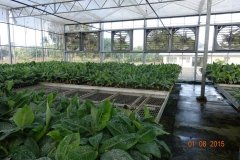 Microbebio-Dominican-Republic-315