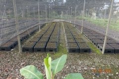 Microbebio-Dominican-Republic-316