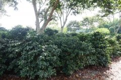 Microbebio-Dominican-Republic-360
