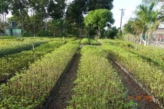 Microbebio-Dominican-Republic-406