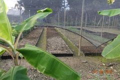 Microbebio-Dominican-Republic-466