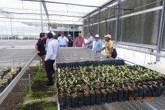 Microbebio-Dominican-Republic-935