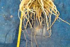MICROBEBIO-FIELD-PHOTO-2026-06-30-16-14-17-4