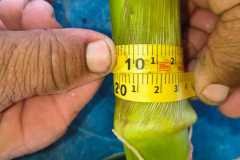 MICROBEBIO-FIELD-PHOTO-2026-06-30-16-14-18