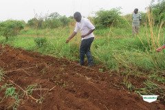 MICROBEBIO-TRIAL-TEST-SOUTH-AFRICA10