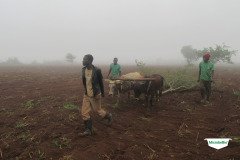 MICROBEBIO-TRIAL-TEST-SOUTH-AFRICA11