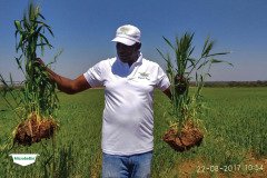 MICROBEBIO-TRIAL-TEST-SOUTH-AFRICA17