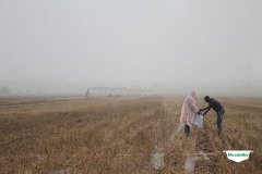 MICROBEBIO-TRIAL-TEST-SOUTH-AFRICA3
