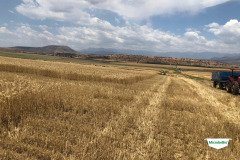 MICROBEBIO-TRIAL-TEST-SOUTH-AFRICA31