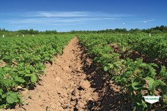 MICROBEBIO-TRIAL-TEST-SOUTH-AFRICA32
