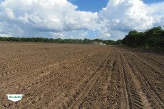 MICROBEBIO-TRIAL-TEST-SOUTH-AFRICA5