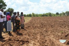 MICROBEBIO-TRIAL-TEST-SOUTH-AFRICA6