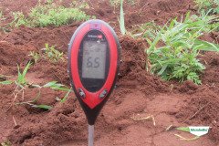 MICROBEBIO-TRIAL-TEST-SOUTH-AFRICA7