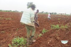 MICROBEBIO-TRIAL-TEST-SOUTH-AFRICA8